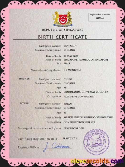 Singapore vital record birth certificate